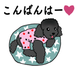 COO-chan: Black Toy Poodle sticker #13757418