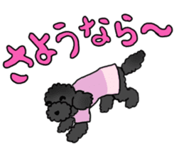 COO-chan: Black Toy Poodle sticker #13757419