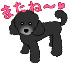 COO-chan: Black Toy Poodle sticker #13757420