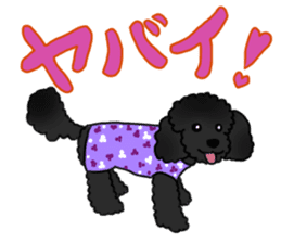 COO-chan: Black Toy Poodle sticker #13757421