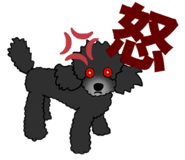 COO-chan: Black Toy Poodle sticker #13757422
