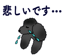 COO-chan: Black Toy Poodle sticker #13757423