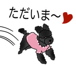 COO-chan: Black Toy Poodle sticker #13757425