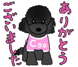 COO-chan: Black Toy Poodle sticker #13757429