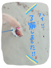 My Dog "Miro" sticker #13757477