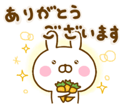 Rabbit Usahina Thanks sticker #13757632