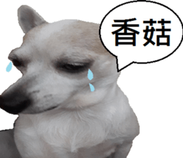 Lele diary sticker #13758063