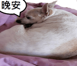 Lele diary sticker #13758065