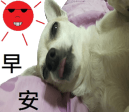 Lele diary sticker #13758066