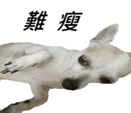 Lele diary sticker #13758067