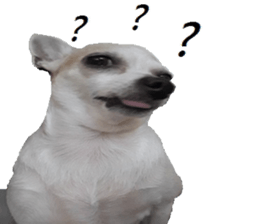 Lele diary sticker #13758068