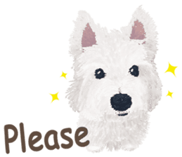 westie QQ-White Terrier part 1 sticker #13758534