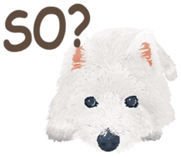 westie QQ-White Terrier part 1 sticker #13758537