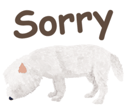 westie QQ-White Terrier part 1 sticker #13758538