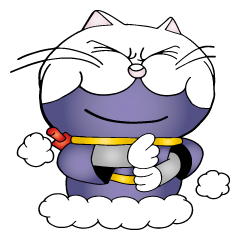 The Cat Ninja Fighter