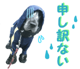 REAL English Cocker Spaniel sticker #13760255