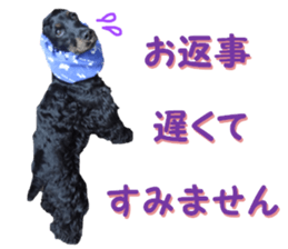 REAL English Cocker Spaniel sticker #13760257