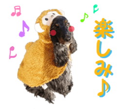 REAL English Cocker Spaniel sticker #13760276