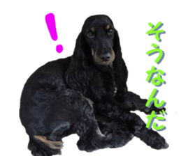 REAL English Cocker Spaniel sticker #13760279