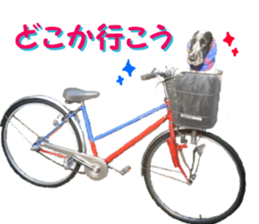 REAL English Cocker Spaniel sticker #13760280