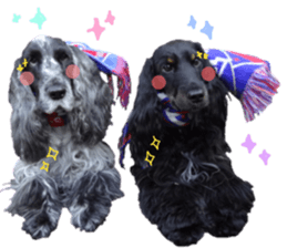 REAL English Cocker Spaniel sticker #13760283