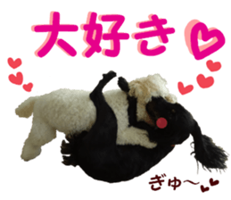 REAL English Cocker Spaniel sticker #13760285