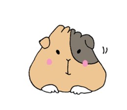 wakkaya friends sticker #13760549