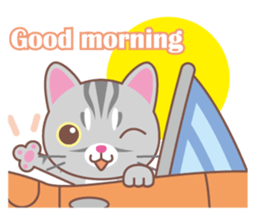 American Shorthair and sport car sticker #13760598