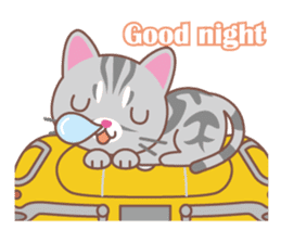 American Shorthair and sport car sticker #13760599