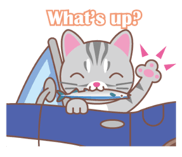 American Shorthair and sport car sticker #13760606