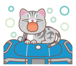 American Shorthair and sport car sticker #13760617