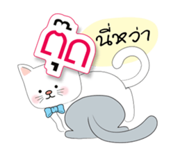 Meow Meow Cats & Cute sticker #13760707