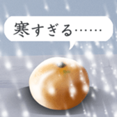 Tangerine photo sticker sticker #13760998