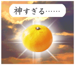 Tangerine photo sticker sticker #13761000