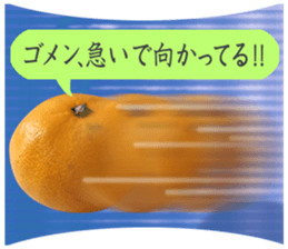Tangerine photo sticker sticker #13761001