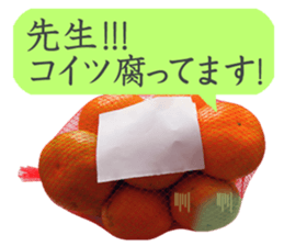 Tangerine photo sticker sticker #13761007