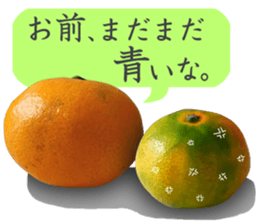 Tangerine photo sticker sticker #13761008
