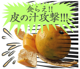 Tangerine photo sticker sticker #13761012