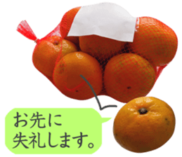 Tangerine photo sticker sticker #13761013