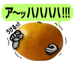 Tangerine photo sticker sticker #13761018