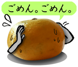 Tangerine photo sticker sticker #13761019