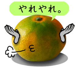 Tangerine photo sticker sticker #13761021