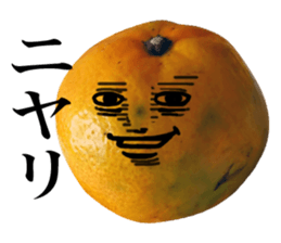 Tangerine photo sticker sticker #13761023