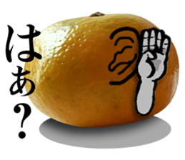 Tangerine photo sticker sticker #13761024