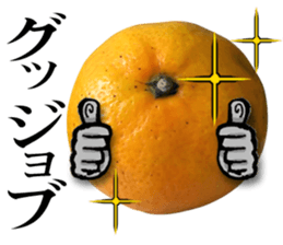 Tangerine photo sticker sticker #13761025