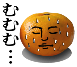 Tangerine photo sticker sticker #13761026