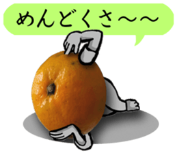 Tangerine photo sticker sticker #13761027