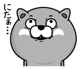 Nyannuko sticker #13761936