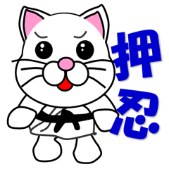 A white cat which do karate