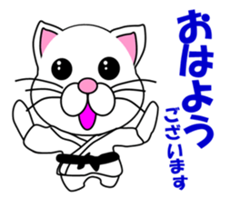 A white cat which do karate sticker #13762590